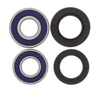 ALL BALLS 25-1113 KIT CUSCINETTI RUOTA POSTERIORE HONDA XR650R 2000