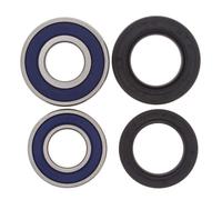 ALL BALLS 25-1113 KIT CUSCINETTI RUOTA POSTERIORE HONDA XR650R 2006