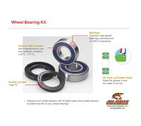 ALL BALLS 25-1434 Kit cuscinetti ruota