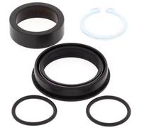 25-4030 ALL BALLS KIT PARAOLIO ALBERO PIGNONE SUZUKI RMZ 450 2005-2006