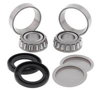 ALL BALLS 28-1056 KIT CUSCINETTI FORCELLONE HONDA TRX500FE 2010