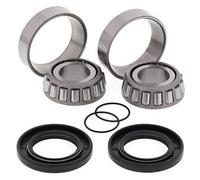 28-1058 KIT CUSCINETTI PERNO FORCELLONE Yamaha XVS650 V-Star 650cc 2001-2003