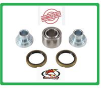 ALL BALLS 29-5079 KIT CUSCINETTI INFERIORI AMMORTIZZATORE BETA REV 2T 200 2007