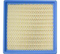 ALL BALLS 48-1025 FILTRO ARIA DI RICAMBIO POLARIS PREDATOR 500 2X4 2006