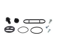 ALL BALLS 60-1031 KIT REVISIONE RUBINETTO BENZINA ARCTIC CAT 300 2X4 2000
