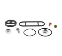 ALL BALLS 60-1032 KIT REVISIONE RUBINETTO BENZINA ARCTIC CAT 366 FIS W/AT 2009