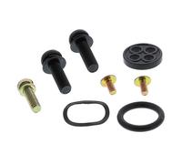 ALL BALLS 60-1034 KIT REVISIONE RUBINETTO BENZINA ARCTIC CAT ALTERRA 300 2018