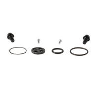 ALL BALLS 60-1060 KIT REVISIONE RUBINETTO BENZINA KAWASAKI KX450F 2006