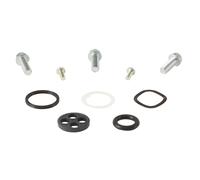 ALL BALLS 60-1102 KIT REVISIONE RUBINETTO BENZINA HONDA CRF450X 2006
