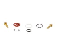 ALL BALLS 60-1140 KIT REVISIONE RUBINETTO BENZINA HUSQVARNA WR250 2012