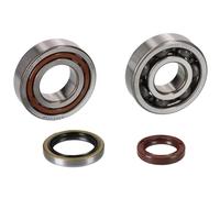 ALL BALLS Albero a Gomito Cuscinetto Adatto An Husaberg Te 125 11-14