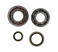 ALL BALLS Albero a Gomito Cuscinetto Adatto An Husqvarna TC Te 250 300 ab14