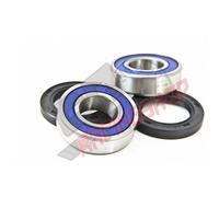 ALL BALLS CUSCINETTI RUOTA ANTERIORE BEARING POLARIS SPORTSMAN FOREST 800 6X6 13