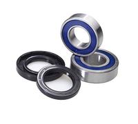 ALL BALLS CUSCINETTI RUOTA ANTERIORE HUSQVARNA TE 250 2014-2017 FRONT WHEEL