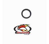 ALL BALLS da Corsa Doppio Labbro Sigillare 42 x 54 x 7 30-5401