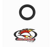 ALL BALLS da Corsa Doppio Labbro Sigillare 48 x68 x 8 30-6804