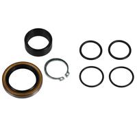 ALL BALLS Guarnizioni Pignone Adatto An Husqvarna Fe FC FS 250 350 450 ab14 TC