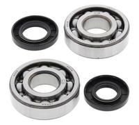 All Balls Kit cuscinetti albero motore e guarnizioni spi