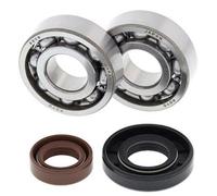 All Balls Kit cuscinetti albero motore e guarnizioni spi