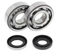 All Balls Kit cuscinetti albero motore e guarnizioni spi