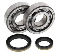 All Balls Kit cuscinetti albero motore e guarnizioni spi