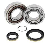 All Balls Kit cuscinetti albero motore e guarnizioni spi