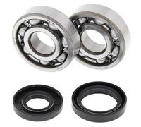 All Balls Kit cuscinetti albero motore e guarnizioni spi