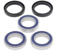ALL BALLS Kit cuscinetto ruota posteriore All Balls per bici da corsa