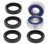 All Balls Kit di ricondizionamento triangolo superiore / inferiore Arctic Cat DVX300