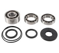 ALL BALLS KIT RIPARAZIONE DIFFERENZIALE ANTERIORE POLARIS RZR 4 900'17