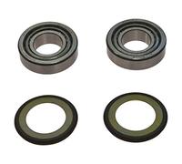 All Balls Racing - Cuscinetti sterzo per Pegaso 650 i.e. Garda, anno di costruzione 2001-2004