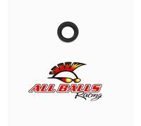 All Balls Racing Doppio Labbro Guarnizione 18 X 28 X 8 30-2801