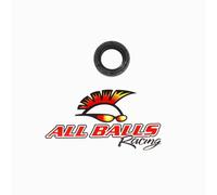 All Balls Racing Doppio Labbro Guarnizione 19 X 30 X 7 30-3004