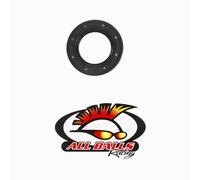 All Balls Racing Doppio Labbro Guarnizione 36 X 60 X 6 30-6001