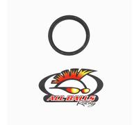 All Balls Racing Doppio Labbro Guarnizione 52 X 62 X 7 30-6215