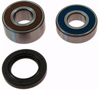 All Balls Racing 25-1020 Front Wheel Bearing Kit Argento