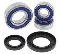 All Balls Racing 25-1393 Front Wheel Bearing Kit Argento