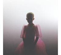 All Diese Gewalt - Alles Ist Nur Übergang [Import]