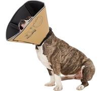 All Four Paws, The Comfy Cone, collare a cono per convalescenza, Colore della pelle, Medium