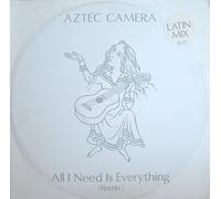 All I Need Is Everything (Remix)