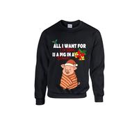 All I Want For Christmas È Un Maiale IN Un Coperta Festività Natalizie Felpa