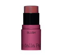 All In One Blush 44 Biscotto Stick Morbido e Fondente 4gr Diego Dalla Palma Milano