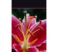 All-in One Floral Creative Journal & Notebook: Lined and Blank Pages with 2025 and 2026 Calendar and Bonus Coloring Sheets: For Writing, Drawing, ... Great for Teens, Students and Everyday use