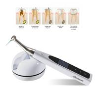 All-In-One Motore endomotore Wireless 16:1 Manipolo Root Trattamento SANDENT