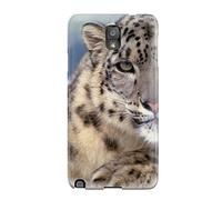 All Natural - Second Nature