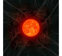 ALL OF THEM WITCHES - HUNTERS MOON -COLOURED-