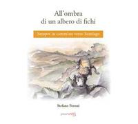 All'ombra di un albero di fichi. Sempre in cammino verso Santiago