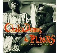 ALL SHE WROTE - CHAKA DEMUS &