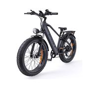 All Terrain Bike (ATM) ENGWE E26