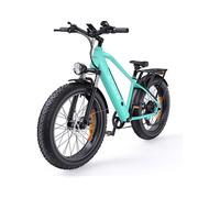 All Terrain Bike (ATM) ENGWE E26